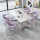 淡紫色皮(一桌四椅)+莫兰紫框架