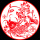 圆形-红荷花鲤鱼100张 直径21.5