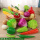 蔬菜24个套餐+框)(塑料玩具款