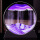 高贵紫—12寸[钢化玻璃+黑底框