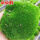 朵朵苔藓孢子粉41.9克