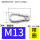 M13 (带圈型)1只