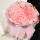 【表白款】52朵粉玫瑰花束赠皇冠+彩灯