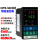XMTE-5012 PT100 400℃(继电器)