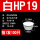 白HP-19MM (50只