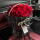 [复古甜心]19朵红玫瑰花束