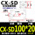 CXSD 100*20