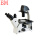 BM-37XC倒置生物显微镜