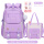 紫色大号+补习袋[送3徽章1挂件