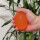 橘色鹅蛋球30磅/手大人用 手感适中