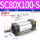 SC80X100-S带磁