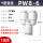 PW8-6（10个）