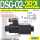 DSG-02-2B2L-D24-DL