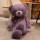 紫色米乐大熊(麦优兔)