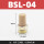 BSL-04(1/2) 长头