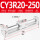 CY3R20250