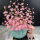 多彩幸福花-粉色+1个南瓜花瓶