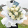 【星辰大海】11朵白玫瑰花束