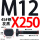 M12X250【45#钢T型】