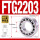 FTG2203/P5(174016)