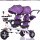 J80亚紫双人旋转小座椅轮 +蓬