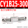 CY1B25-300