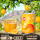 杏汁250ml*6罐