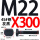 M22X300【45#钢T型】