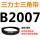 藏青色 B2007 Li