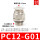 PC12-G01
