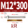 M12*300304(1个)