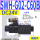 SWH-G02-C60B-D24-20