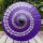 紫色紫藤花