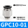 GPC10-01