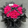 52朵弗洛伊德玫瑰鲜花束