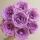 紫玫瑰-20支