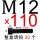 M12x110