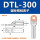 DTL-300(国标)1只