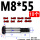 M8*55(10个)