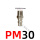 PM30