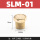 SLM-01(1/8)  平头