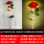太阳能款-新款发光杆单头-红玫瑰