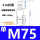 M75单滑轮316材质