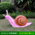 HY1652-4中号粉色蜗牛
