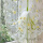 毛巾绣黄色雏菊纱-0.8米宽