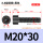 M20*30全(15支)