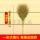 【4号】扫落叶款一体加固1.89米 【大扫把】