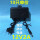 12V2A小黑常规电源10只