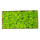 永生鹿蕊藓(黄绿色500克)