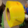 黄色透明14宽0.8厚10kg2300米